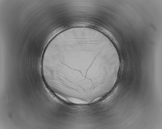 X0000110930802200907301622