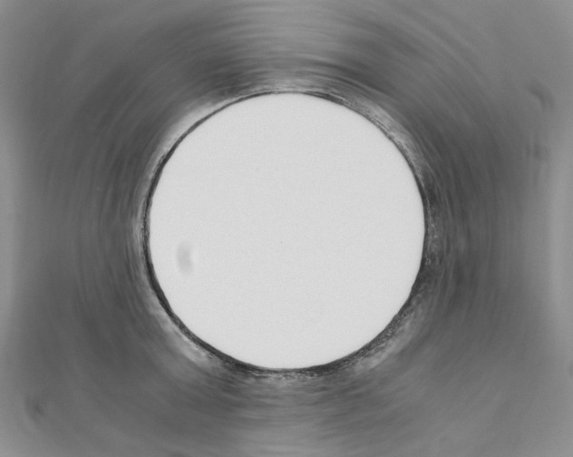 X0000110930803200907301622