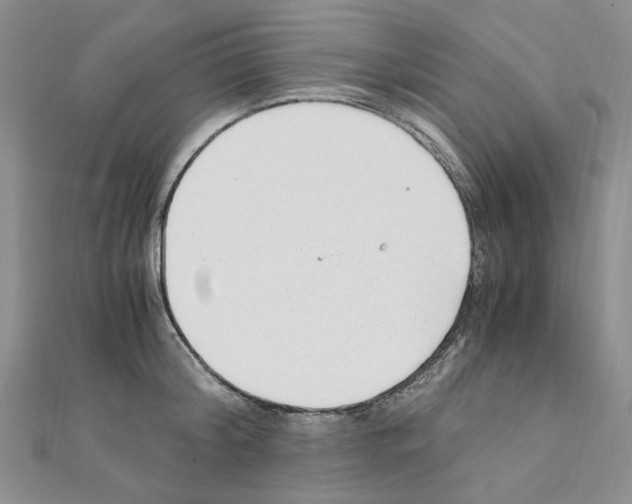 X0000110930804200907301622