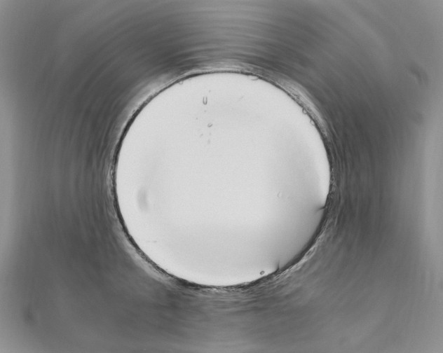 X0000110930805200907301622