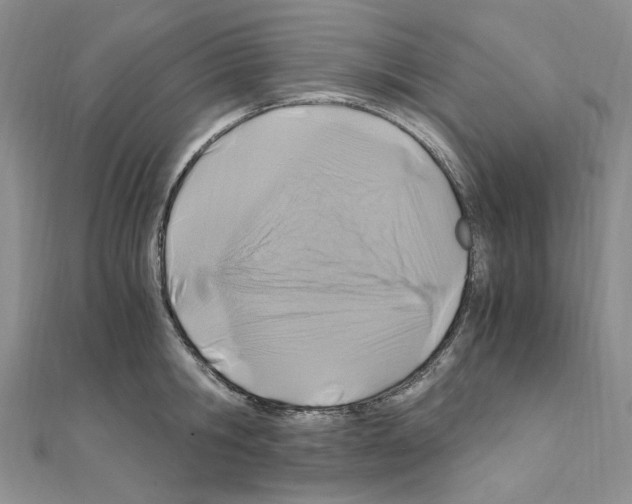 X0000110930806200907301622
