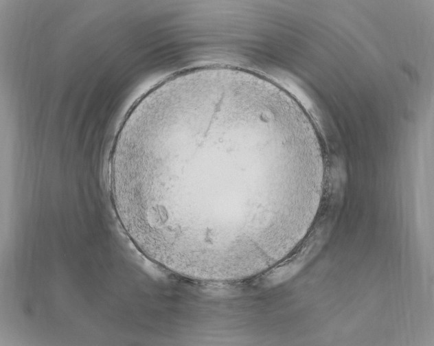 X0000110930807200907301622