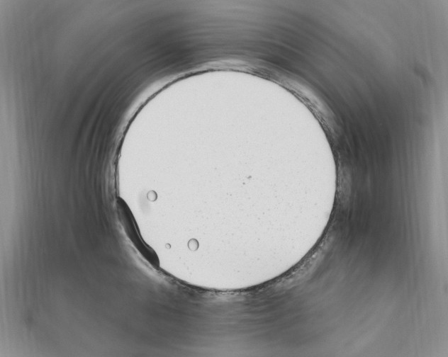 X0000110930808200907301622