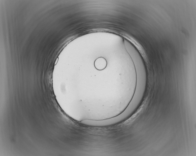 X0000110930809200907301622
