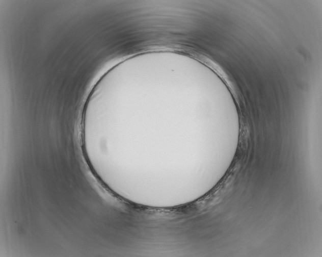 X0000110930811200907301622