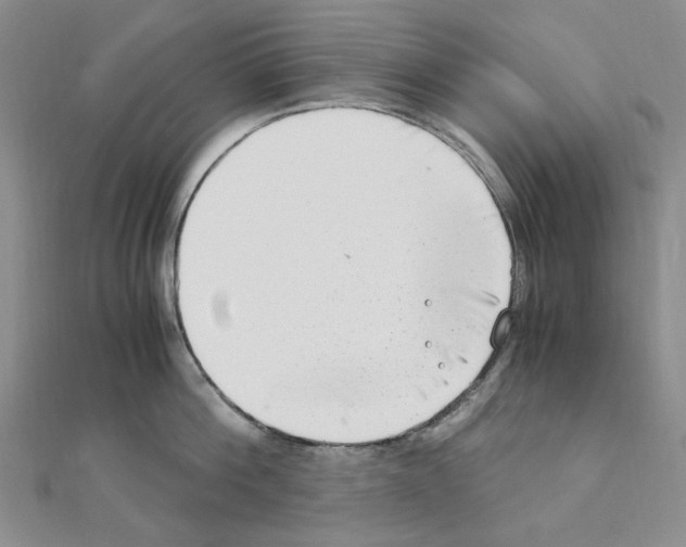 X0000110930812200907301622