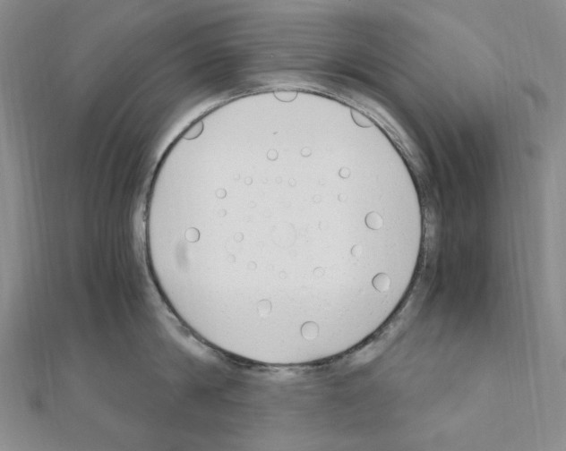 X0000110930814200907301622