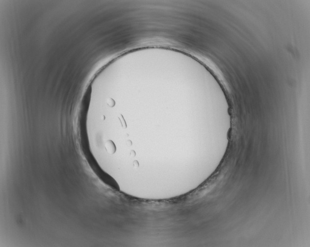 X0000110930815200907301622