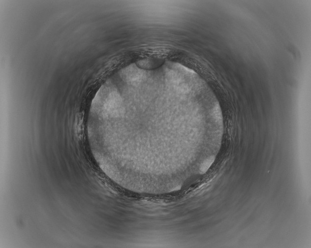 X0000110930818200907301621
