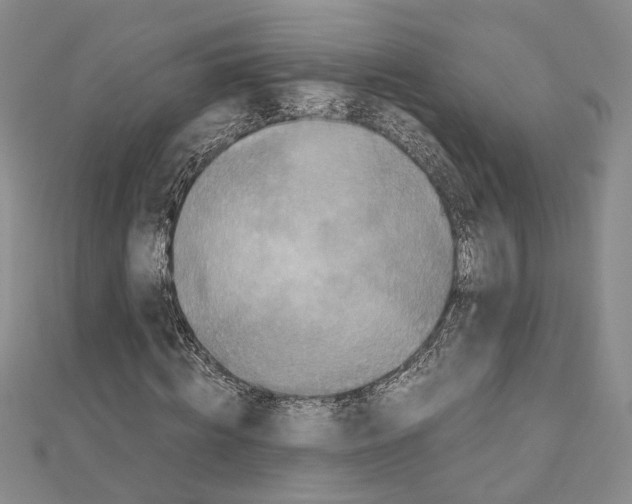 X0000110930820200907301622