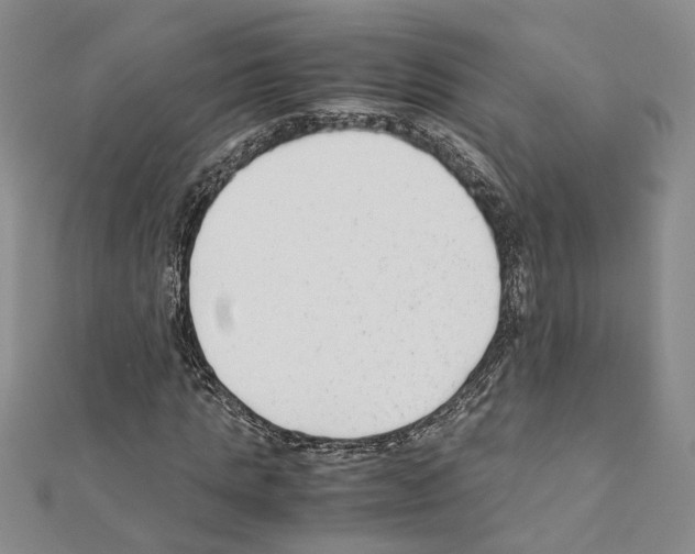 X0000110930821200907301622