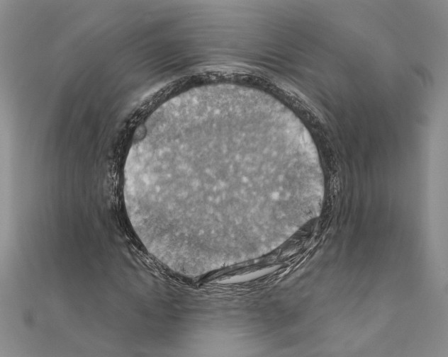 X0000110930822200907301622