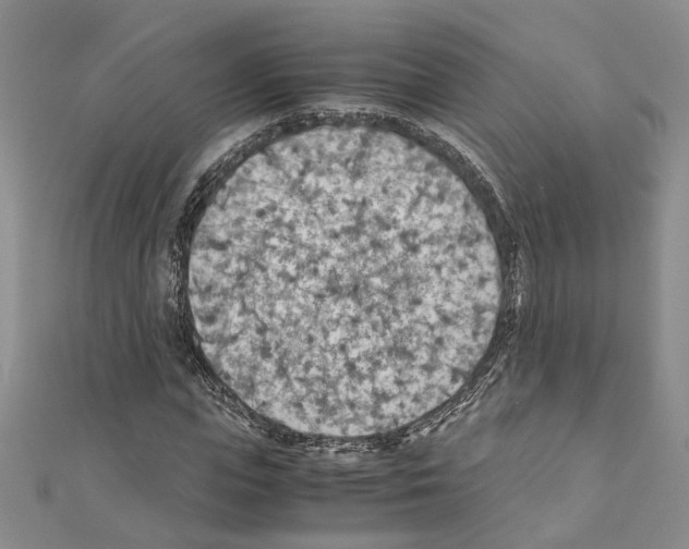 X0000110930823200907301622