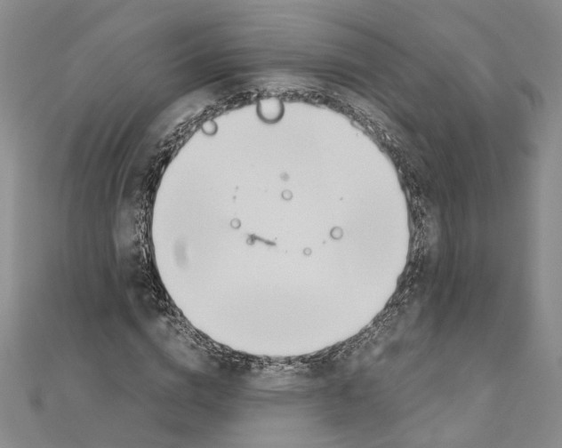 X0000110930824200907301622