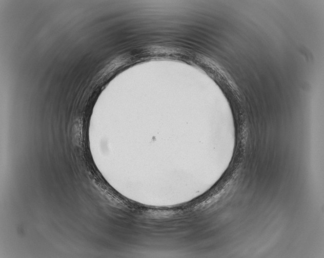 X0000110930825200907301622