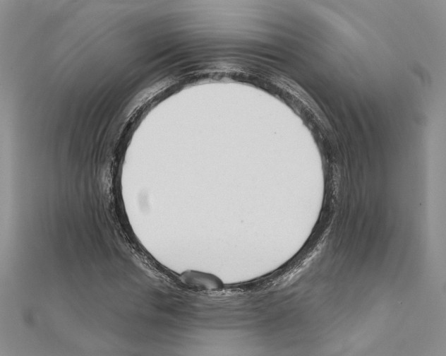 X0000110930826200907301622