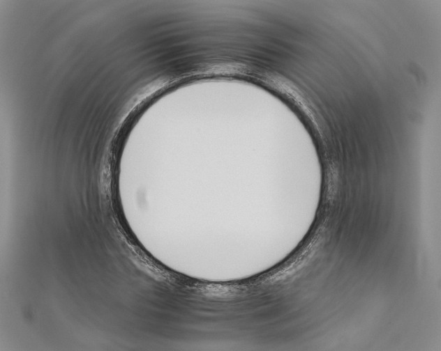 X0000110930827200907301622