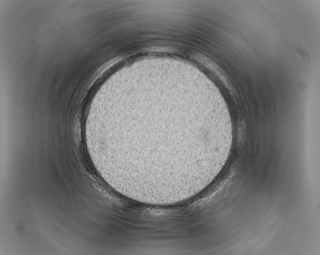 X0000110930829200907301622