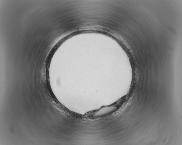 X0000110930830200907301622