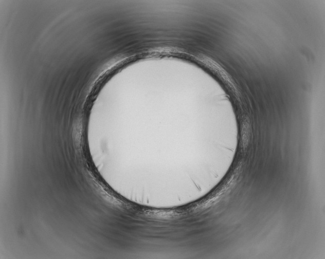 X0000110930831200907301622