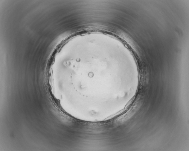 X0000110930832200907301622