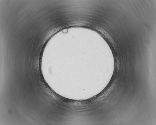X0000110930834200907301622