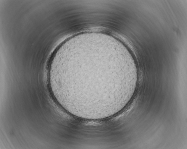 X0000110930835200907301622
