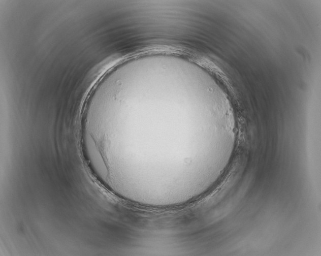 X0000110930836200907301622