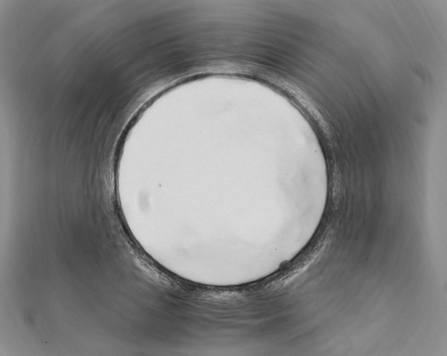 X0000110930837200907301622