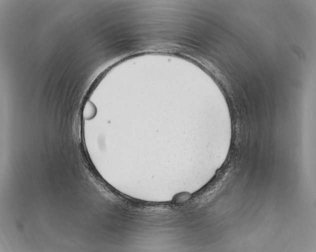 X0000110930838200907301622