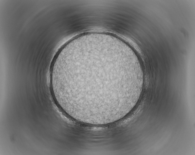 X0000110930839200907301622