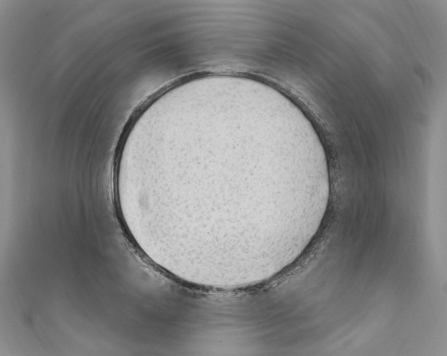 X0000110930840200907301622