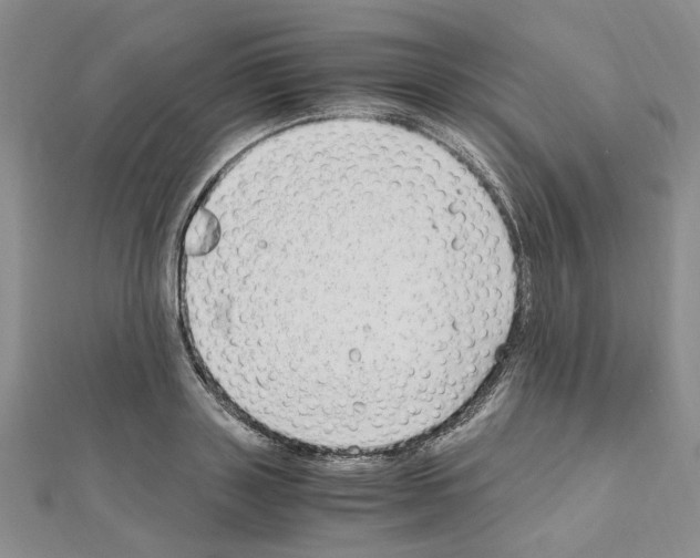 X0000110930843200907301622
