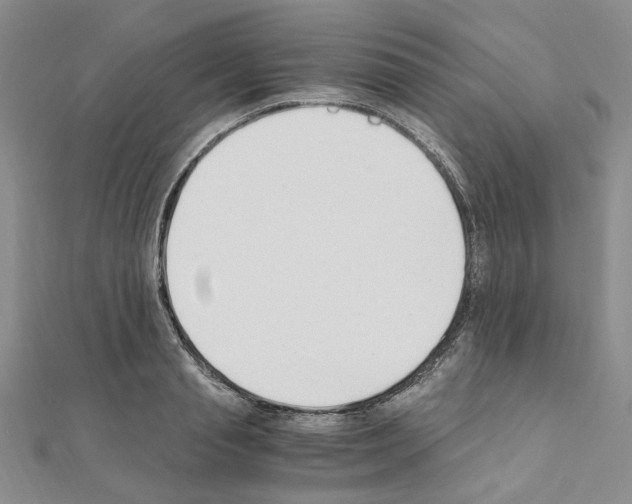 X0000110930845200907301622