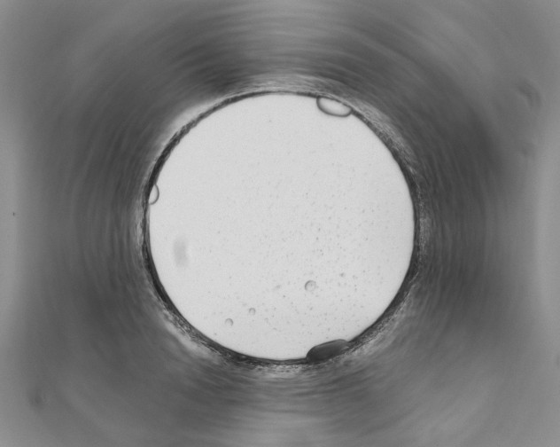 X0000110930846200907301622