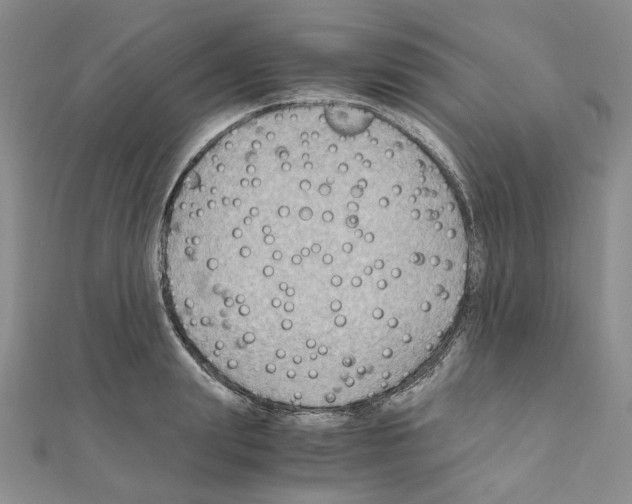 X0000110930847200907301622