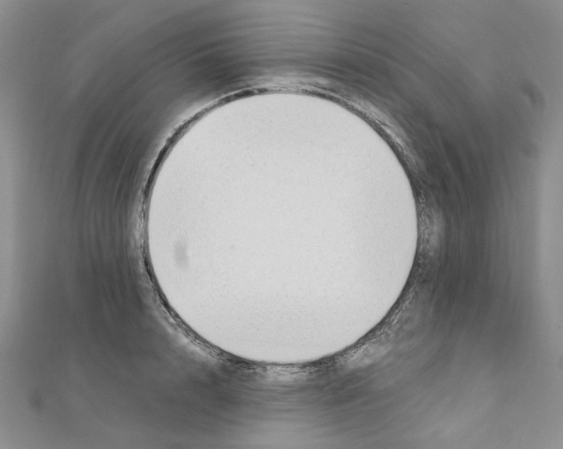X0000110930848200907301622