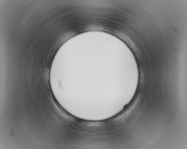 X0000110930849200907301622