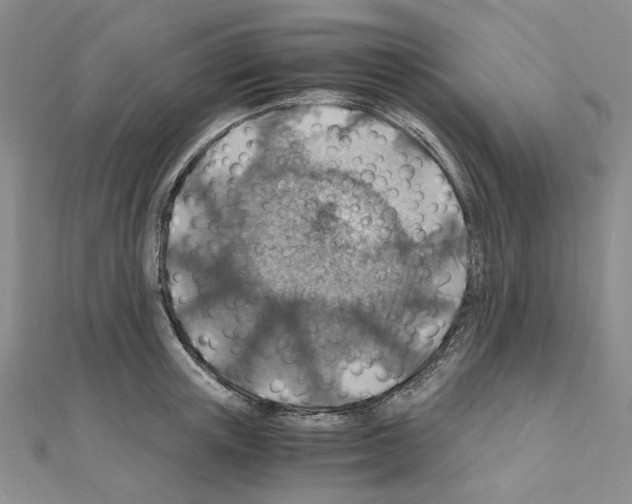 X0000110930851200907301622