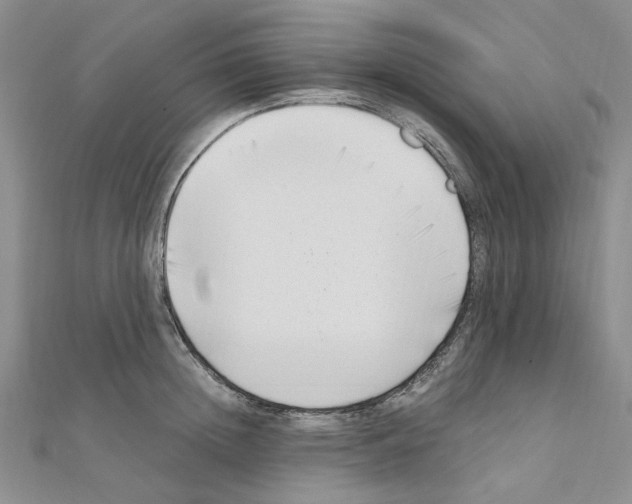 X0000110930852200907301622