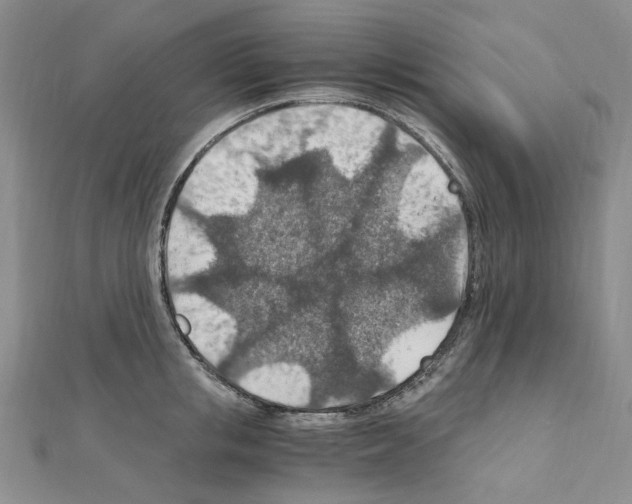X0000110930853200907301622