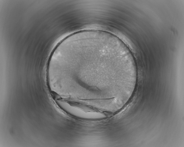 X0000110930854200907301622