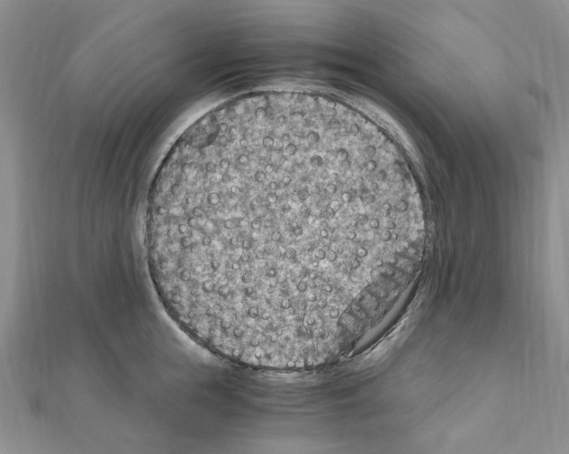X0000110930855200907301622