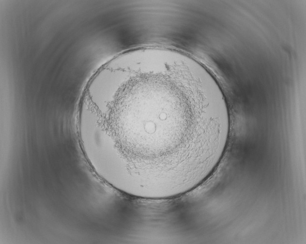 X0000110930856200907301622