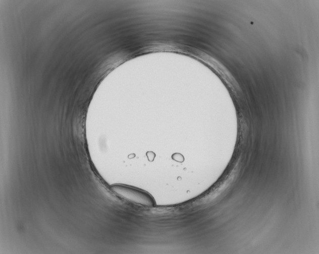 X0000110930857200907301622