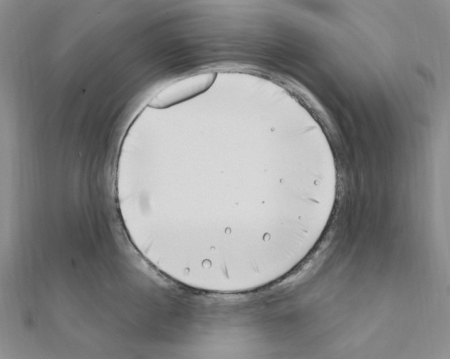 X0000110930860200907301622