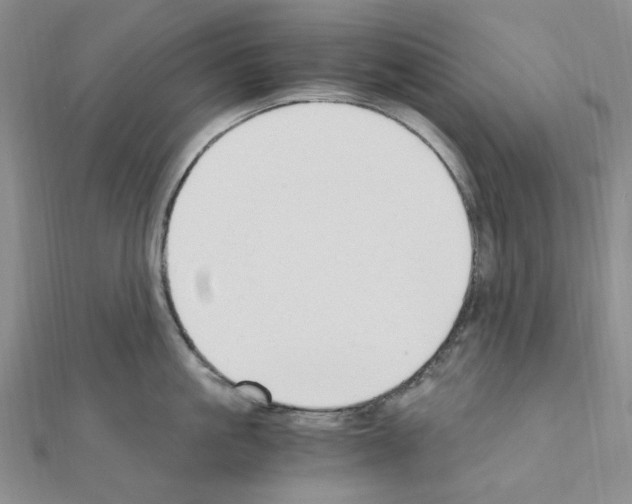 X0000110930861200907301622