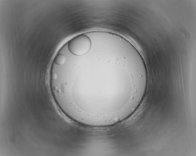 X0000110930862200907301622