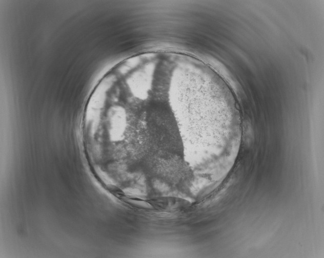 X0000110930863200907301622