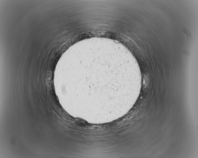 X0000110930867200907301621